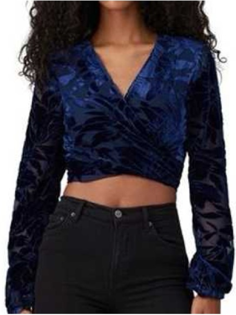 💙 Hutch Velvet Claudia Tie Front Crop Top Sz L Burnout Velvet Floral Royal Blue